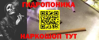 прущие грибы Северобайкальск