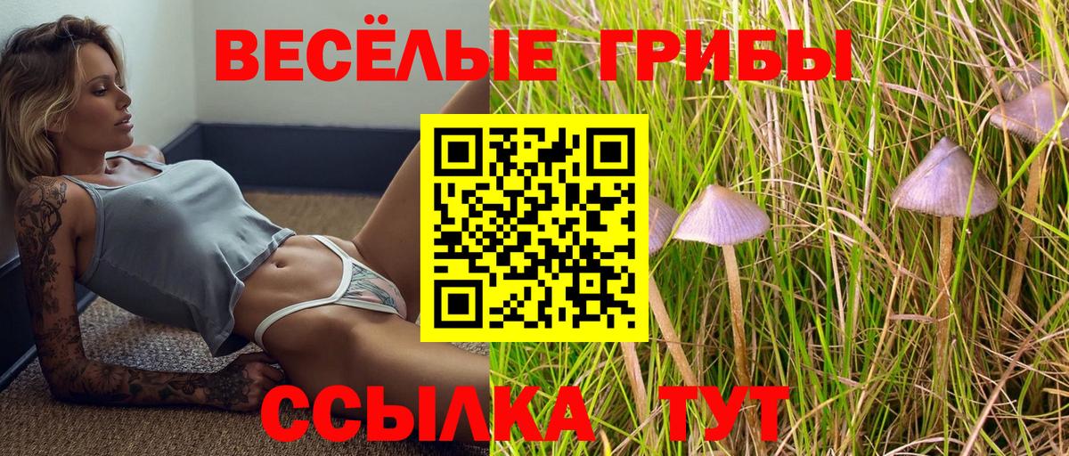 Псилоцибиновые грибы мухоморы  Вход с VPN  Галлюциногенные грибы Psilocybine cubensis  Ростов Великий 