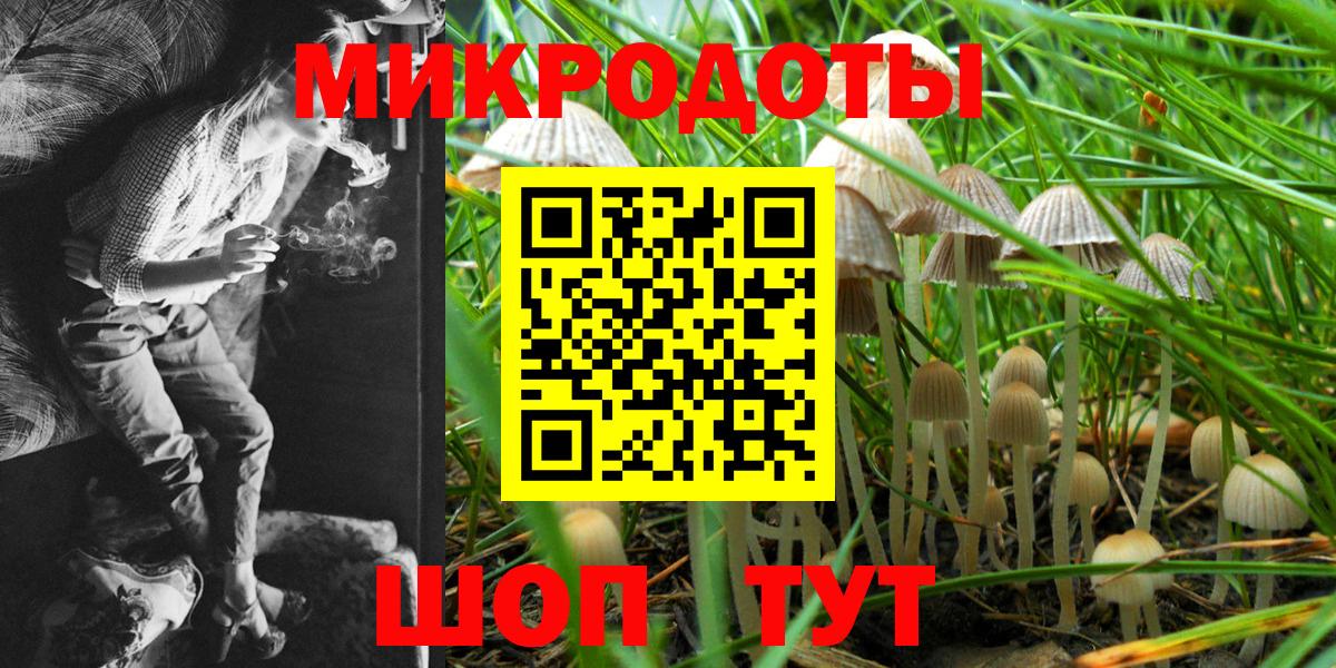 Галлюциногенные грибы Cubensis Ростов Великий